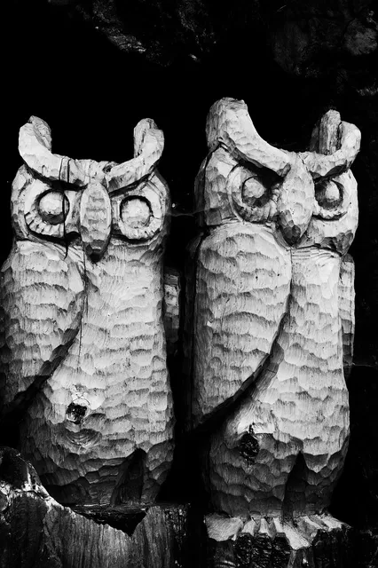 Diverses
